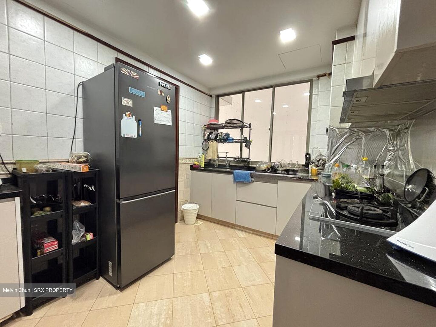 Parc Vista (D22), Condominium #501477281